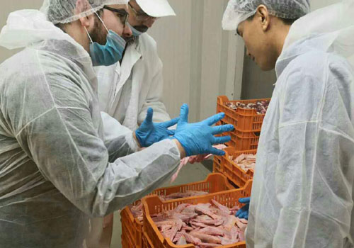 进口冻肉清关配合海关抽样检疫