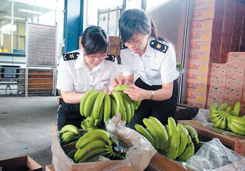 菲律宾香蕉进口清关海关查验现场