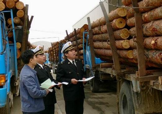 木材进口报关海关审核单证查验货物