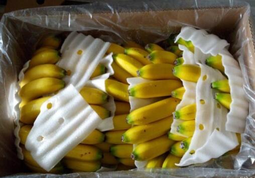 菲律宾进口香蕉国内热销